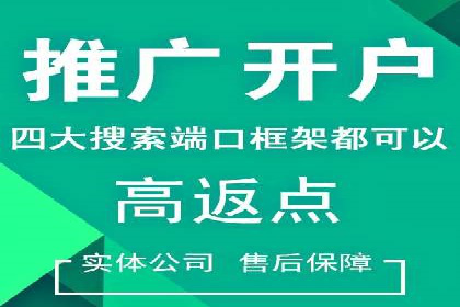 某某sem代运营推广公司助力中小企业网络营销